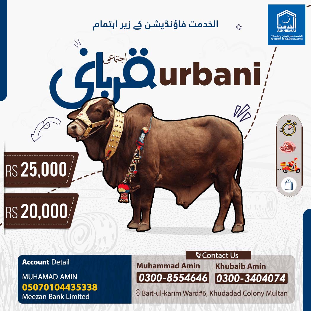 Creative Design Portfolio